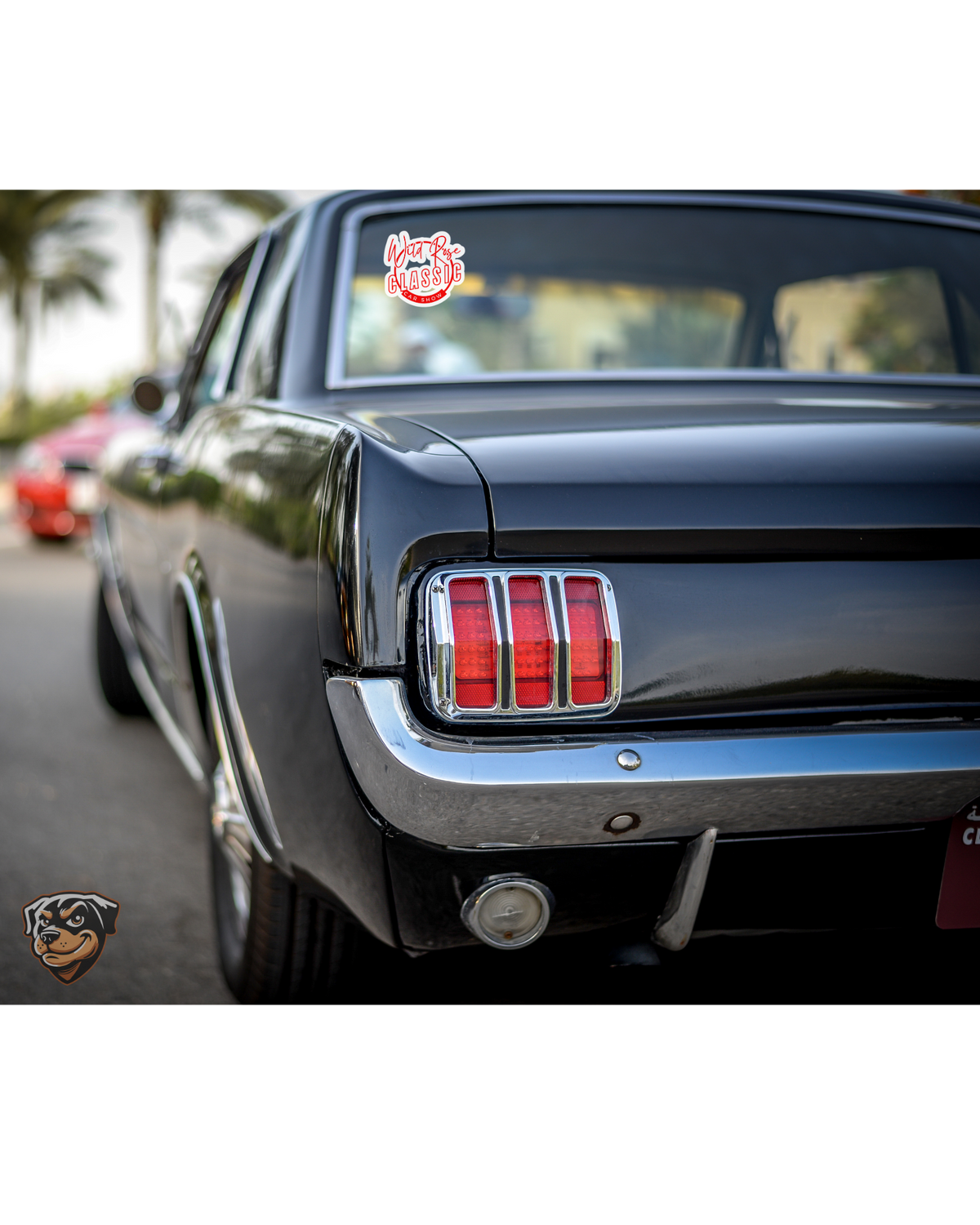 Wild Rose Classic Car Show Car Decals