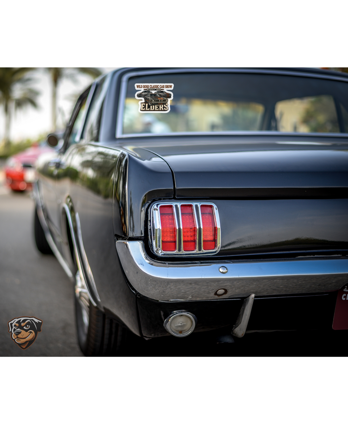 Wild Rose Classic Car Show Car Decals