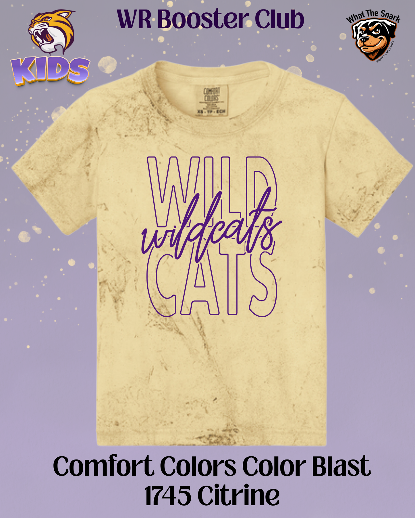 Wildcats Classic Script Overlay Youth Tee