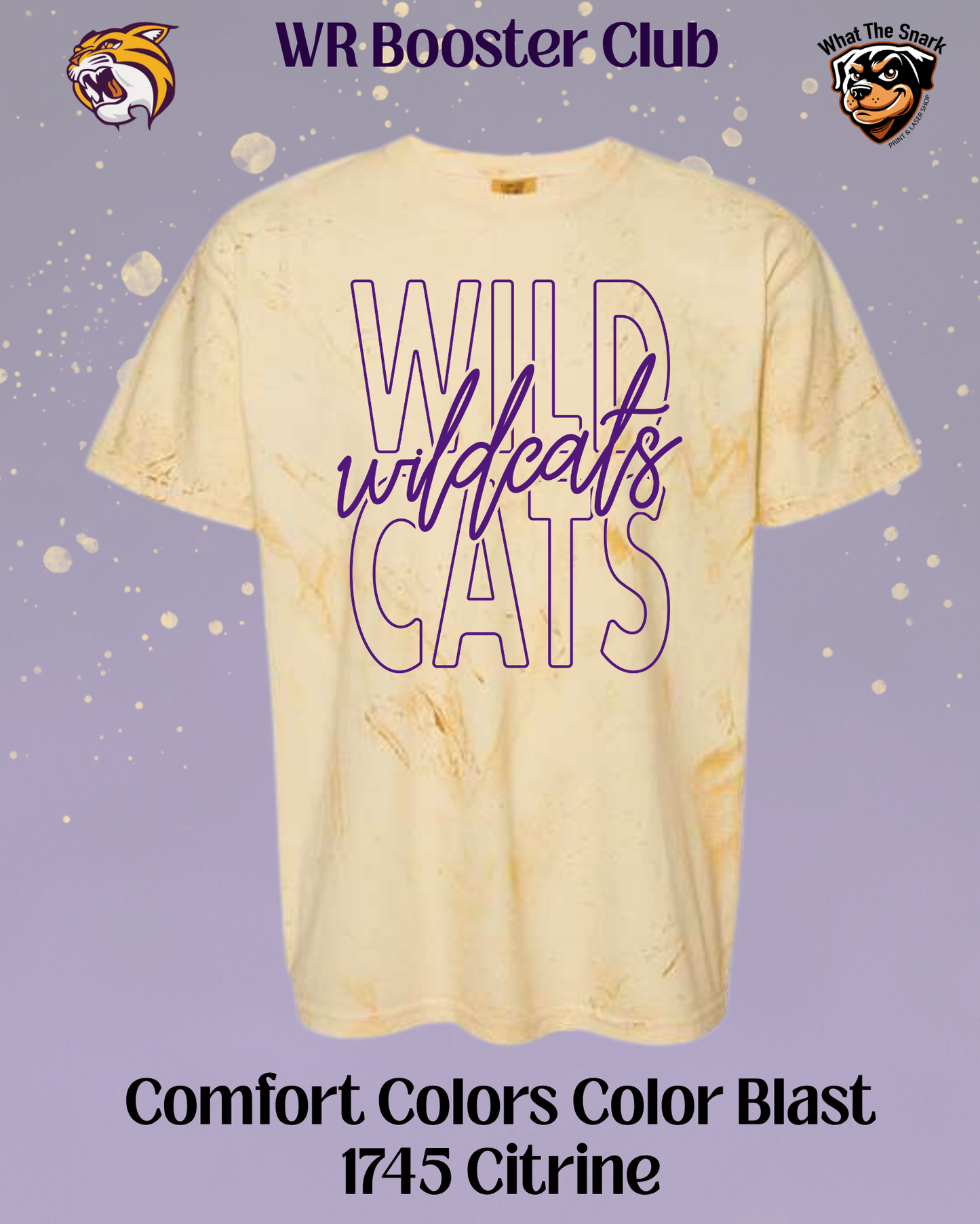 Wildcats Classic Script Overlay Tee