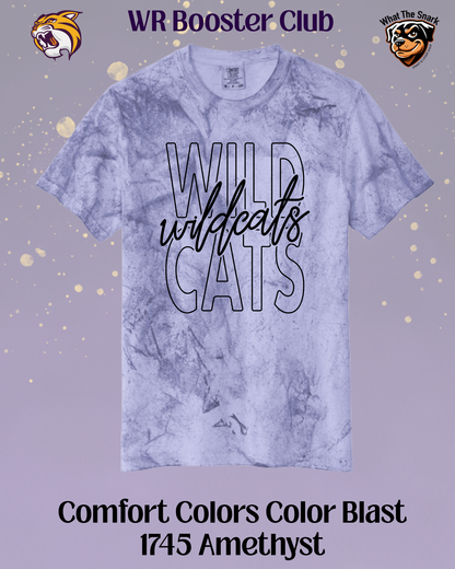 Wildcats Classic Script Overlay Tee