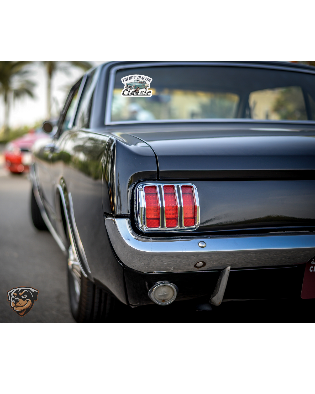 Wild Rose Classic Car Show Car Decals